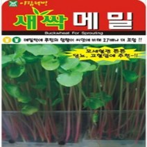 AR 새싹 메밀 30g 소포장 씨앗, 1개