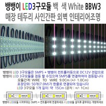 유니온엘이디 뱅뱅이모듈 RGB모듈 파노라마모듈 DC12용 SMPS 컨트롤러 인테리어조명, 뱅뱅이 LED3구모듈 BBW3, 1개