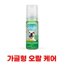 강이지 거품치약 좋은치약 천연 미백 화이트닝 누렁니 칫솔 펌프 안전한