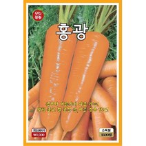 씨앗 당근 홍광 1500립