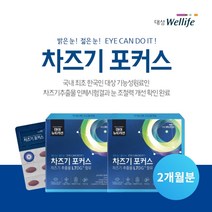어두운 곳 흐릿한 피로한 남성 여성 안구 눈 노화 노안 영양제 잦은 장시간 야간 운전 스마트폰 빛 반응 에 좋은 빌베리 루테인, 2BOX(2개월분)