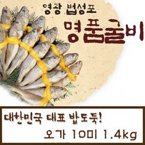 굴비 영광굴비 법성포영광굴비 영광법성포굴비 조기굴비 선물세트 명절 추석 설 1.4kg 10마리, 1박스