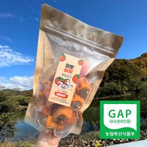 영동 대봉곶감 반건시 건시 가정용 꼬마곶감 시골곶감, 실속봉지곶감(500g)