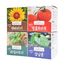 5000 드림가든 식물키우기 저면관수 해바라기 바질 방울토마토 강남콩 탐구생활 관찰력키우기, 랜덤