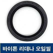 에스케이종합상사 바이톤 리데나 38-54-10 (38X54X10) 오일씰 TC