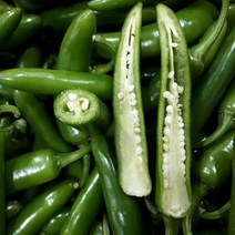 새벽들 모닝고추(500g 1kg 5kg), 1box