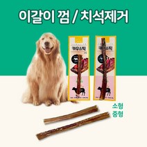 카우스틱 소형견 중형견 대형견 이갈이껌 오래먹는 한우 치석제거 개껌, 중형, 2개