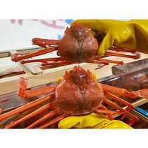 연지 홍게 대게 제철 포항 3kg 구룡포 홍게 주문 택배 산지직송, 일반용 B급 = 수율 70%내외, 1개