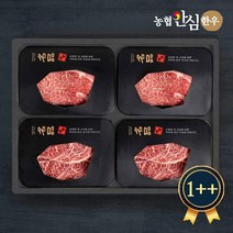 [정직하누] 농협안심한우 투뿔 혼합6호세트 1.2kg (등심 불고기) 1++, 1++등급