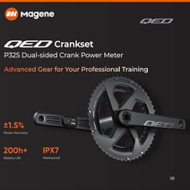 자전거 파워미터 크랭크 Magene-QED 로드 바이크 크랭크셋 P325 양면 크랭크 파워 미터 스피들 레이 젠 할로우 기술 165/167.5/170/172.5/175mm, 170mm, 53-39T