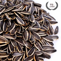 맛을 그리다 볶은 껍질 해바라기씨 500g 자이언트, 1봉