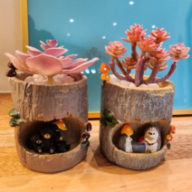 조화 다육화분 랜덤발송 2개 세트, 곰돌이와 고슴도치