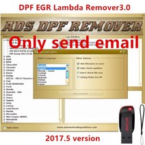 전문 DPF EGR 리무버 3.0 소프트웨어 잠금 해제 keygen+설치 비디오, Only send email
