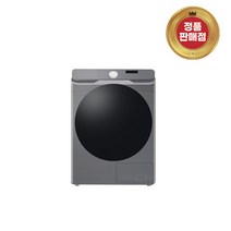 삼성전자 그랑데 DV17T8520BP (정품판매점), 이녹스실버 색상