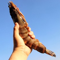 킹타이거 새우 ( 왕새우 ) 블랙타이거 대왕 새우구이 스테이크용, 킹타이거새우 (30cm 270g내외) 1미