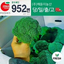 <해돋이농산> 국산 브로콜리 특품 2kg 3kg 5kg 8kg, 2kg(4 ~ 7수)” class=”wr-img”></a></div></p></div></p></div></p></div><div class=