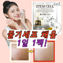 특허 스템셀 줄기세포 마스크/1일1팩 모공 굵은주름 피부탄력 리프팅, 2)30장 + 30장