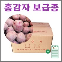 강원도 홍감자 보급종 씨감자 4kg 10kg 20kg + 농사친구 안내장 세트, 03. 홍감자 20kg + 농사친구안내장