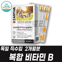 비타민B6 피리독신 pyridoxine 비타민B12 코발라민