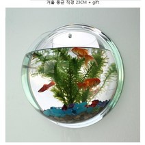 벽걸이 원형 어항 투명아크릴 거울어항 세트 수경식물