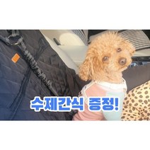 강아지 안전벨트 차량용 반려견 목줄 애견 충격흡수 리드줄, 헤드레스트형, 스카이블루