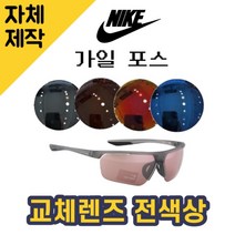 [당일발송][자체제작렌즈] 나이키 가일 포스 DC2909021 교체렌즈전제품 낚시선글라스, (일반색상) 브라운