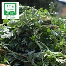 여화원 고흥 유기농 생쑥 100g 봄나물 제철 해풍쑥 봄쑥 자연산쑥, 1개