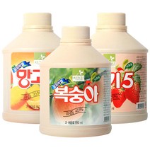 차그림 과일 주스 원액 850ml 과일 농축액, 차그림 복숭아주스원액 850ml