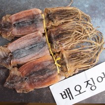 가락시장도매 배오징어 마른오징어, 5마리, 450g내외