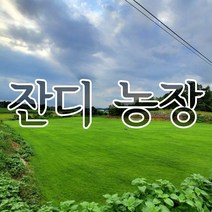 잔디씨 만립 한국 들잔디 씨앗 산소용 정원용 골프코스 축구장 잔디 씨 아람종묘, 20개