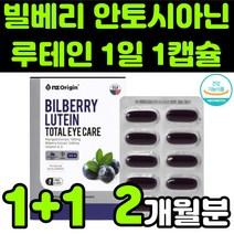 미국산 뉴테인 루테린 LUTEIN 마리골드 금잔화 꽃 빌베리 헤마토코쿠스 추출물 안토시아닌 비타민A 베타카로틴 직장인 청소년 어린이 눈 안구 건강 노안 노화 흐림 영양제 추천, 2박스(2개월분)