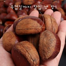 부여 알밤 당도가 높고 고소한 최고의 알밤 23년 햇 홀랑밤(칼집밤 뜨래밤) 알밤 축제 밤 달싱상회, 2kg 대, 1개