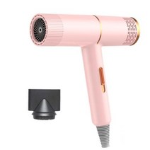 개 미용 건조기 애완 동물 머리 고양이 송풍기 따뜻한 바람 1000w Eu 플러그 차가운 뜨거운 공기 히터 중형 작은 강아지, Pink-EU Plug