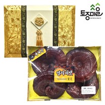 토종마을 영지버섯 선물세트 한지포장 300g, 1개