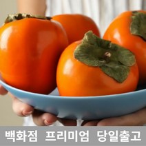 [특 등급 선별] 대봉 10kg 감효능 홍시효능 단감 곶감만들기 대봉감말랭이 대봉시 떫은감 대봉홍시 대봉감가격 곶감용감 대봉가격 대봉감홍시 감홍시 냉동홍시 청도홍시 씨없는단감