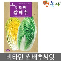 비타민 쌈배추씨앗 1000립, 1개