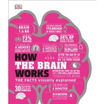 (영문도서) How the Brain Works: The Facts Visually Explained Hardcover, DK Publishing (Dorling Kind..., English, 9781465489791