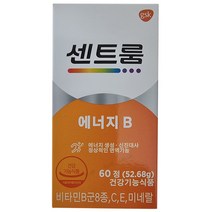 센트룸 에너지 B (60정)