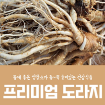 지앤제이 고씨네 약도라지1kg 도라지 생도라지 야산재배도라지, one color, free