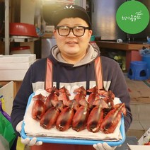 속초 오징어순대 아바이순대 수제 순대, 오징어순대 2미(500g) + 명태회무침세트