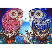 귀여운 올빼미 5d 특별한 모양의 다이아몬드 그림 자수 바느질 모조추를위한 바느질, 30*40cm