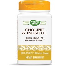 네이쳐스웨이 콜린 & 이노시톨 500mg 캡슐, 100개입, 1개, 100정
