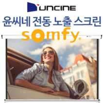 윤씨네 솜피모터 전동스크린 EV-100 빔스크린 스크린, V-EV100 (100인치) 유선스위치형 솜피