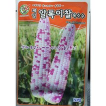 찰옥수수씨앗/ 박사찰옥수수150립/알록이찰옥수수 80립/흑찰옥수수 50립/박사찰옥수수 80립, 박사찰옥수수150립, 1개