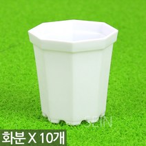 미니 플라스틱 화분 블랙 X 10개 - 플분 다육 선인장 어린이집 유치원 플라스틱 어린이 식목일 행사 식물 모종 삽목 인테리어 홈 가드닝 다육이화분