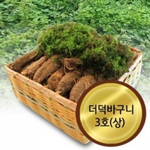고씨네농장 더덕바구니3호상 난발더덕 산마루더덕, 바구니3호(3kg)