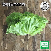 [농사임당] 유럽채소 친환경 무농약 카이피라 샐러드 야채 쌈채소 500g/1kg, 500g