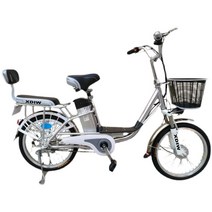 2인승 외출용 전기자전거 여성용 어르신 전동 자전거, 상세이페이지 참고, 18인치 48V 통합 휠50km48V