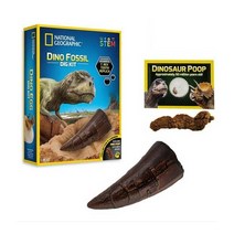 공룡 이빨 모형 캐기 화석 키트 고고 학자 역할 놀이 kyougil*948943130Ep