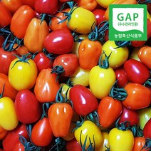 [웰굿] [GAP인증] 산지직송 경남 진주 애플 방울 토마토 1kg, 상세 설명 참조